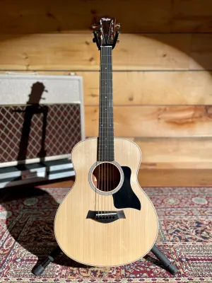 Taylor GS Mini-e Rosewood Plus